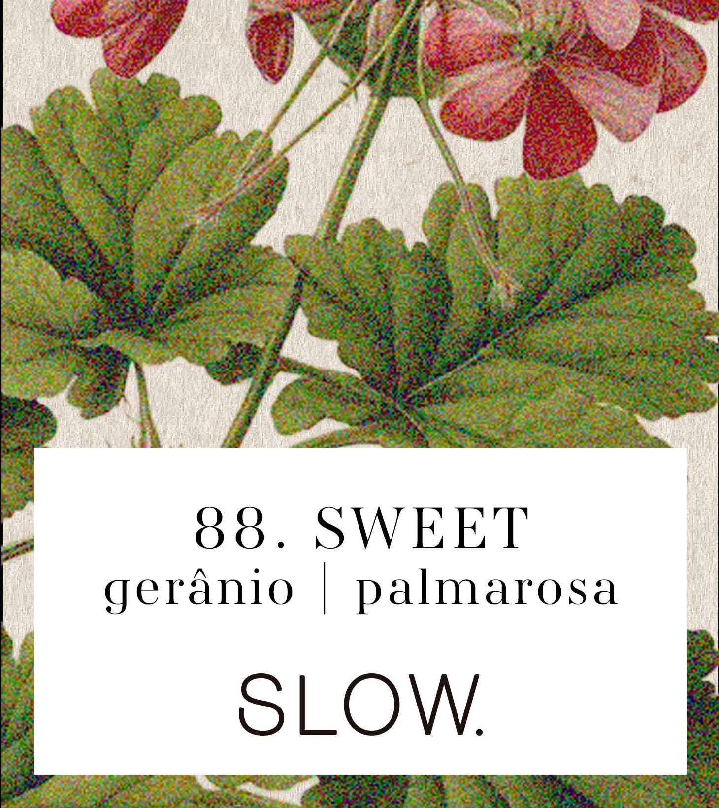 Sweet Candle - Geranium and Palmarosa