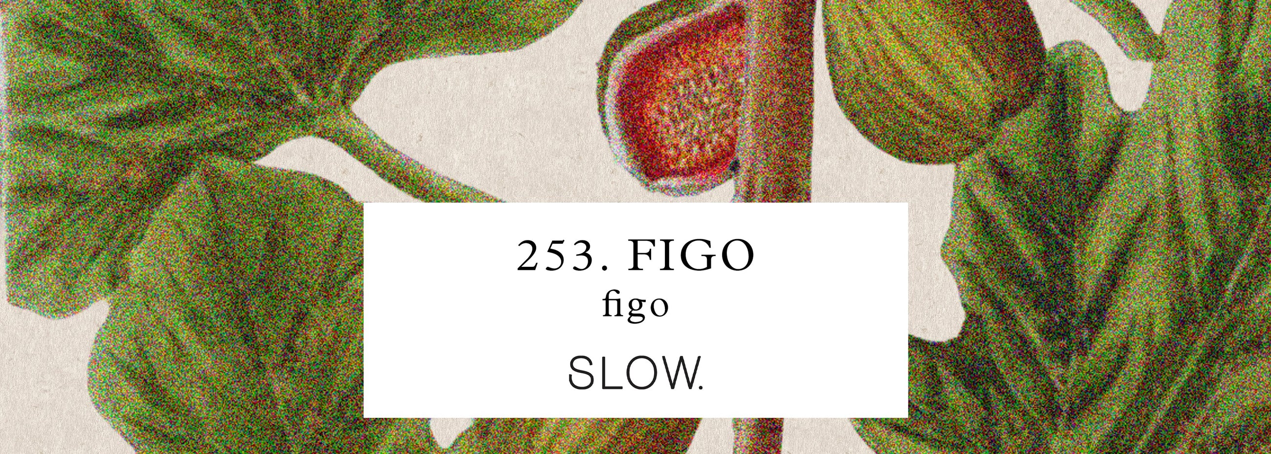 Vela Genie Figo - alta
