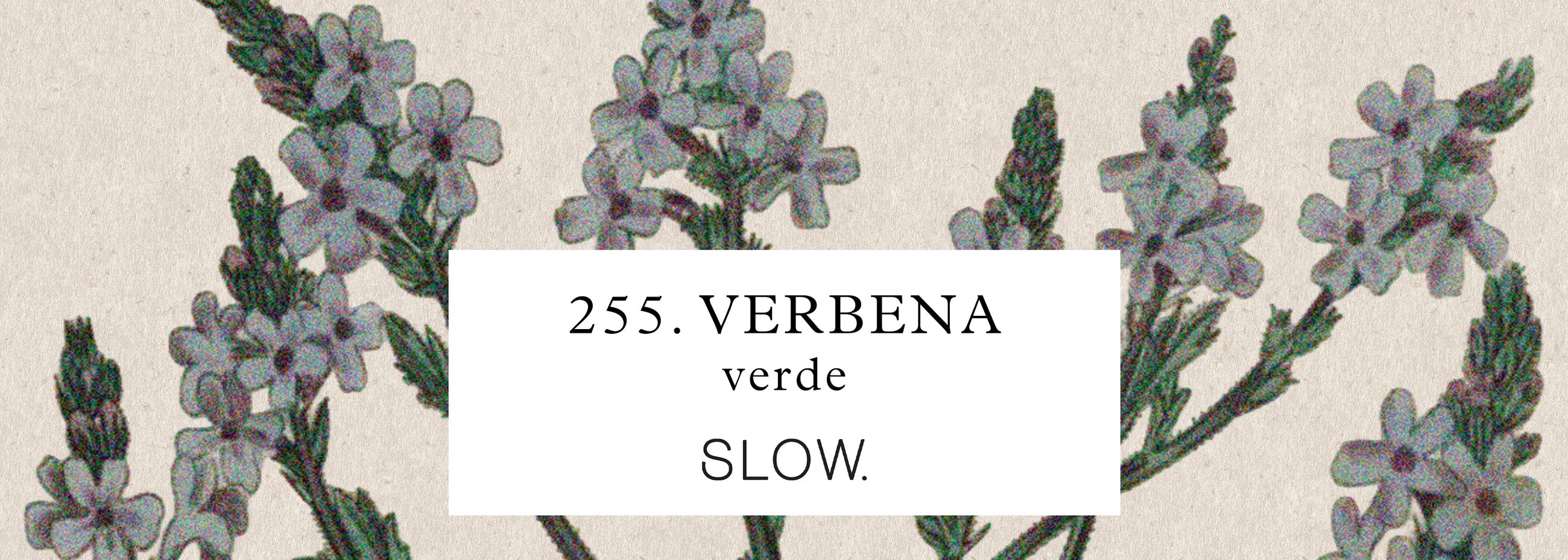 Vela Genie Verbena - baixa