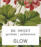 Vela Sweet - Gerânio e Palmarosa