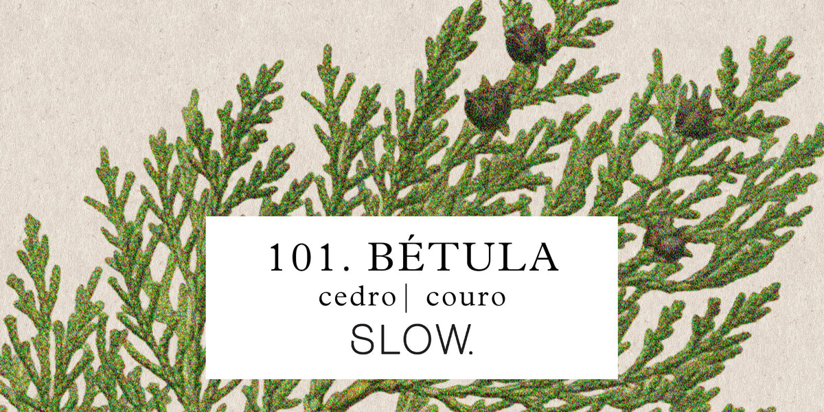 Etiqueta da vela Status Betula