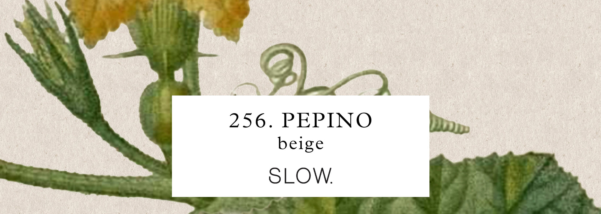 Vela Genie Pepino - baixa