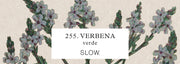 Vela Genie Verbena - baixa