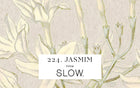 Vela Gomos Jasmim - alta