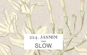 Vela Gomos Jasmim - alta
