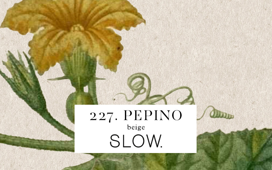 Vela Gomos Pepino - baixa
