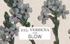 Vela Gomos Verbena - baixa