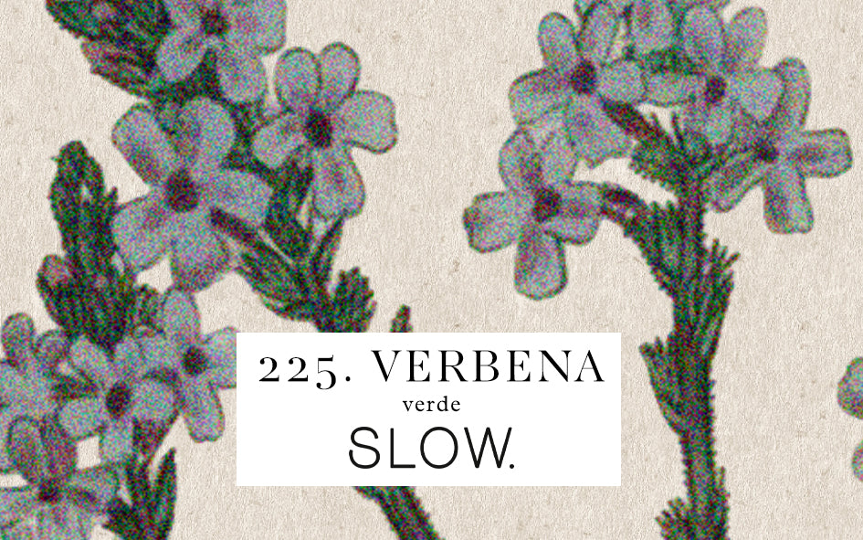 Vela Gomos Verbena - baixa