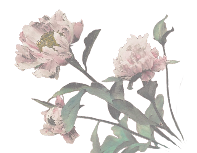 Ramo de flores cor de rosa