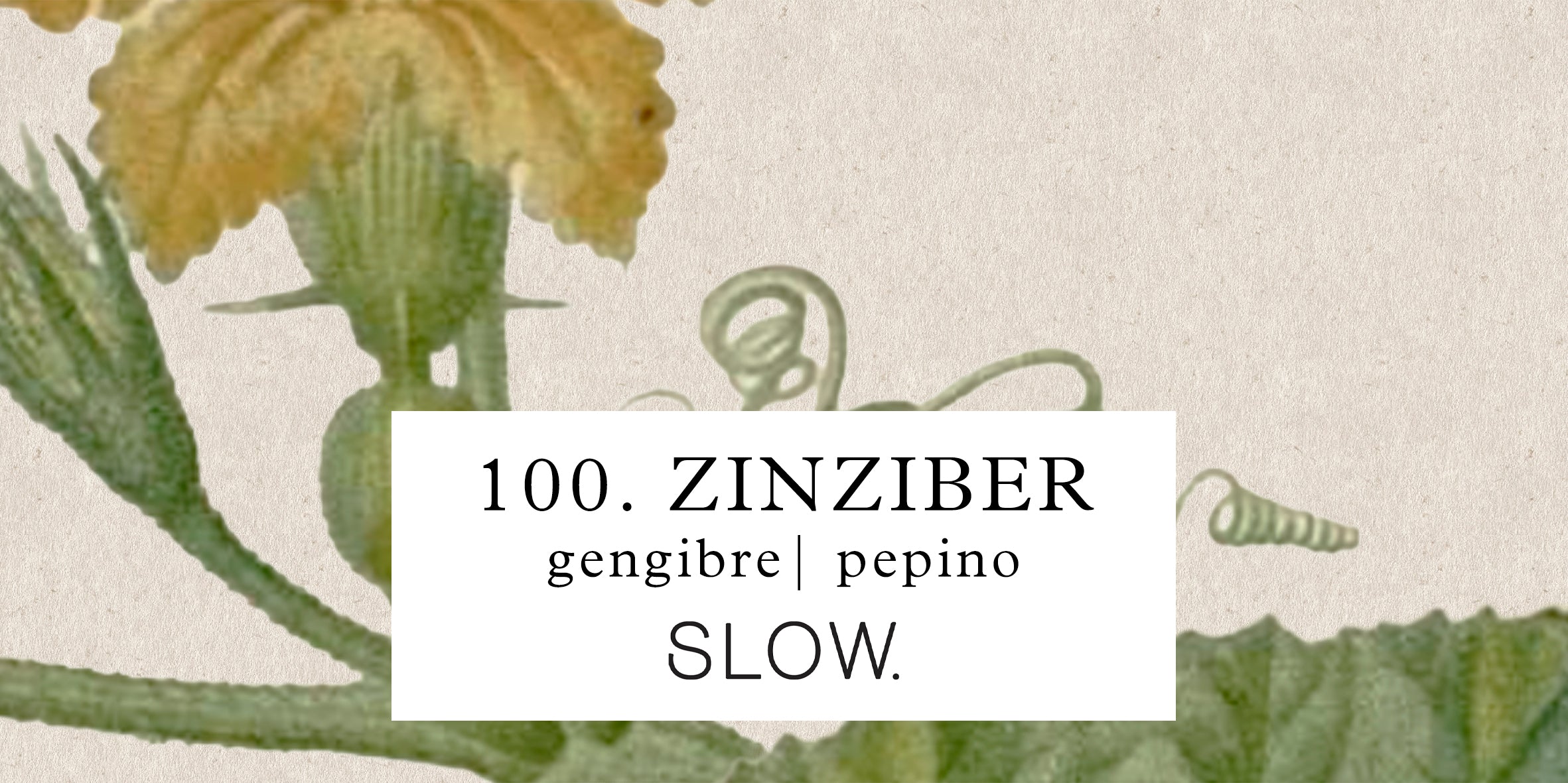 Vela Status Zinziber - Gengibre e Pepino